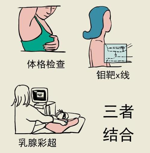 图片3.png